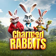 Charmed Rabbits